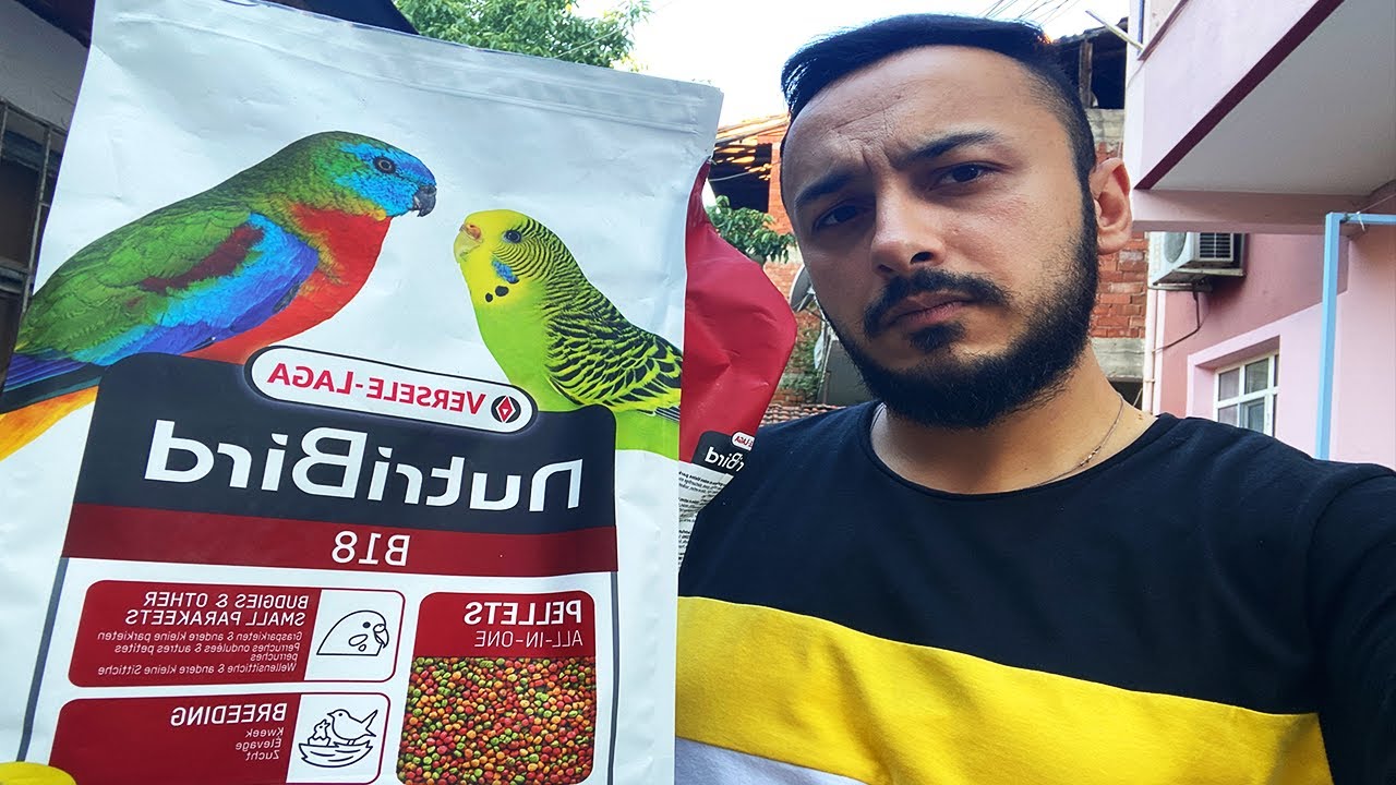 Versele Laga Nutribird B18 Muhabbet Kuşu Pelet Yem ? Yeni Tarz Yem