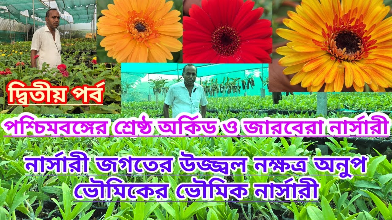 পশ্চিমবঙ্গের শ্রেষ্ঠ অর্কিড ও জারবেরা নার্সারি||দ্বিতীয় পর্ব||Bengal Best Orchid & Gerbera Nursery||