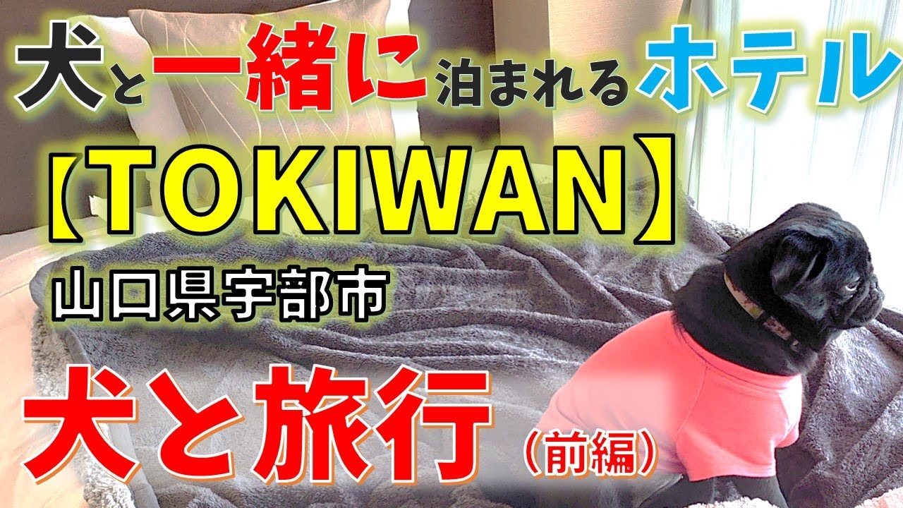 【黒パグのひゅんける】犬と泊まれるホテル「TOKIWAN」旅行！【山口県宇部】前編