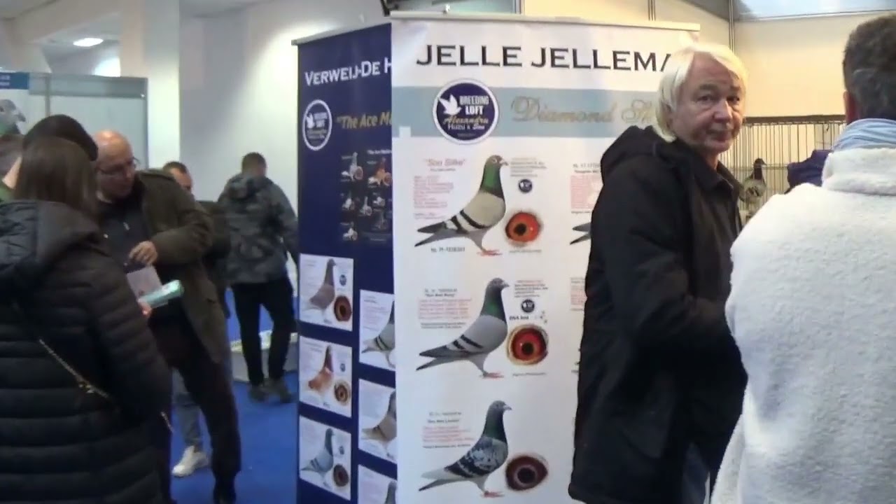 Expozitie nationala columbofila comuna Columba UCPR Bucuresti Romania 31 ian 2026 part 5