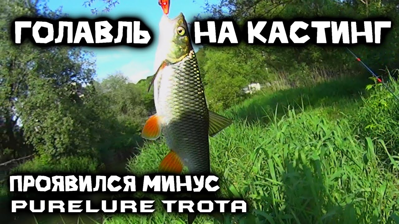 Голавль в начале лета | Ловля на малой реке | Purelure TROTA 472UL