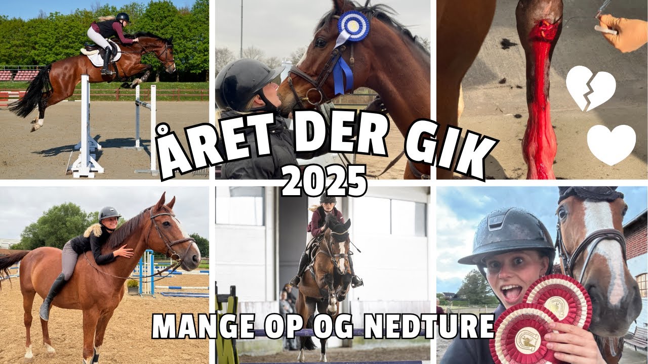 ÅRET DER GIK 2025 // MANGE OP OG NEDTURE