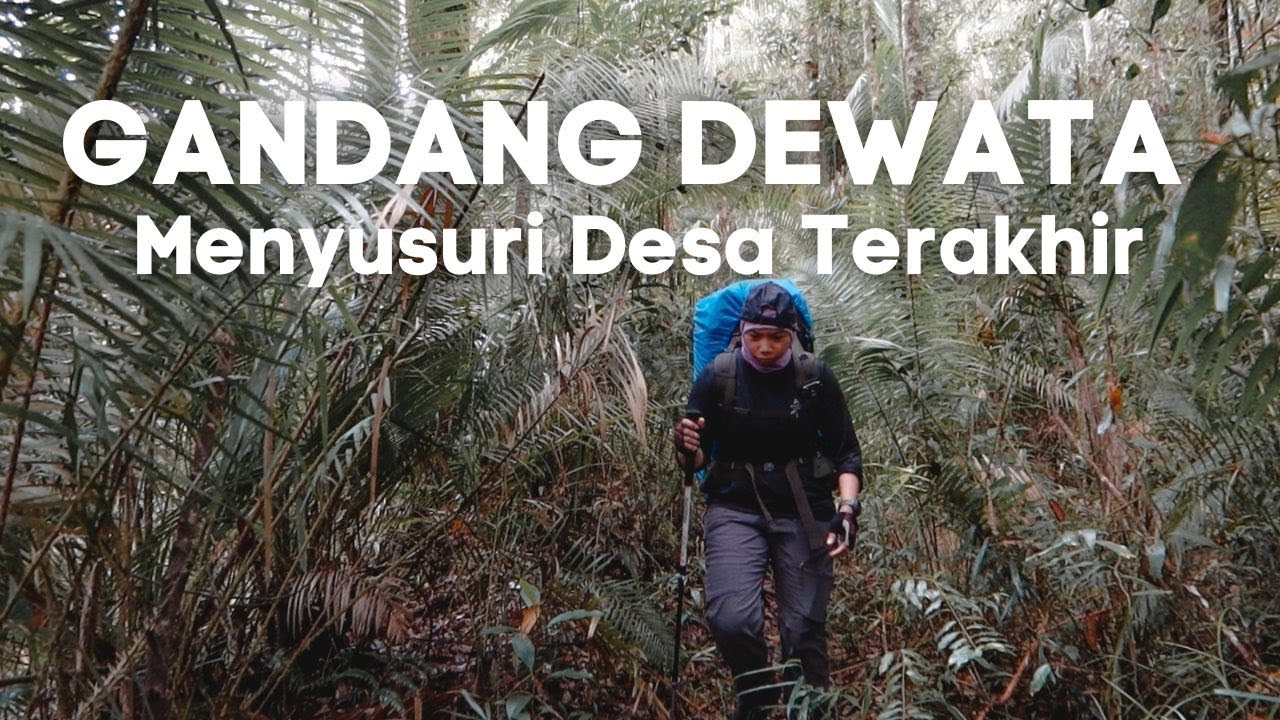 Gunung Gandang Dewata #1 | Trek Panjang di Belantara Sulawesi