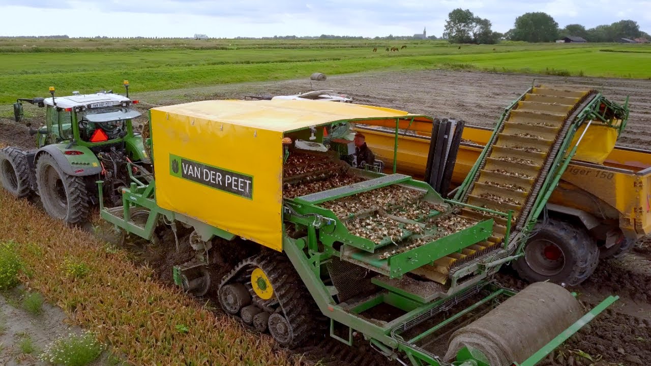 Урожай тюльпанов 2021 л. Комбайн Fendt 724 л. Koops. на гусеницах Soucy. Fendt 516 ,John Deere 7920.