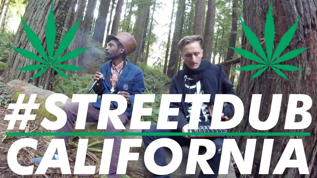 Alpha Steppa x Arkaingelle - Herbalist (Humboldt, California) #streetdub E37