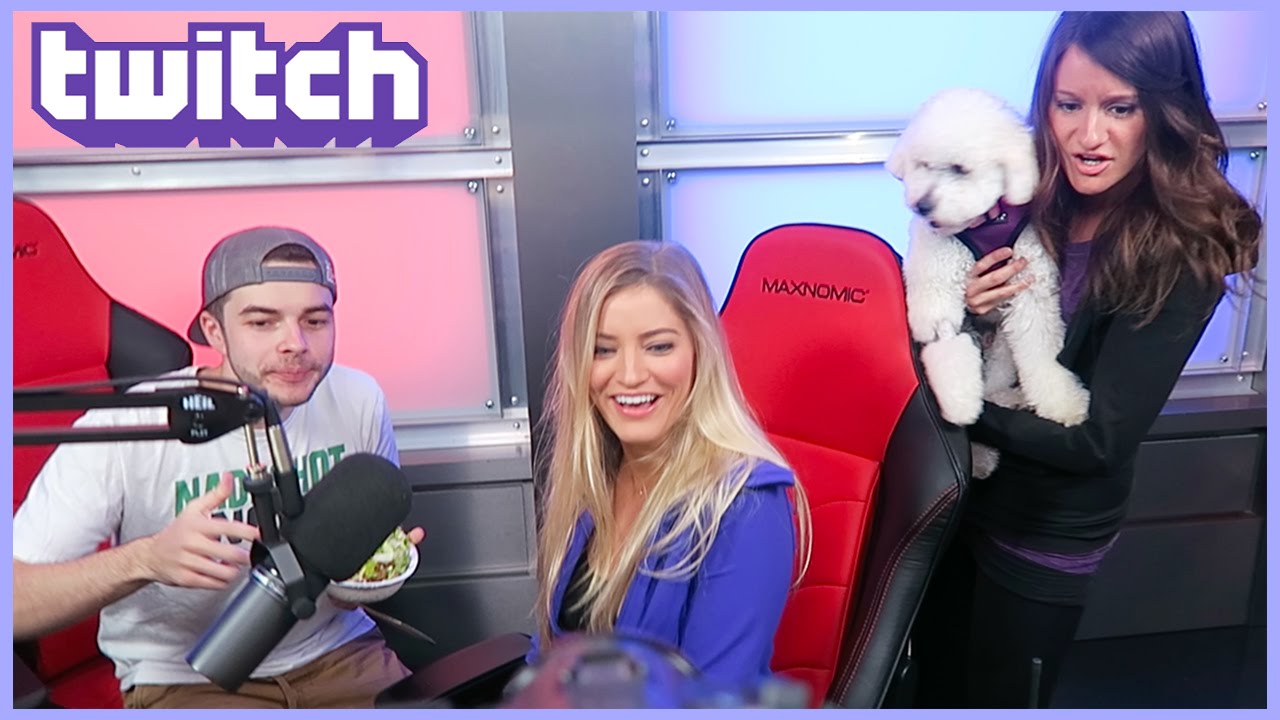CRASHING THE STREAM!
