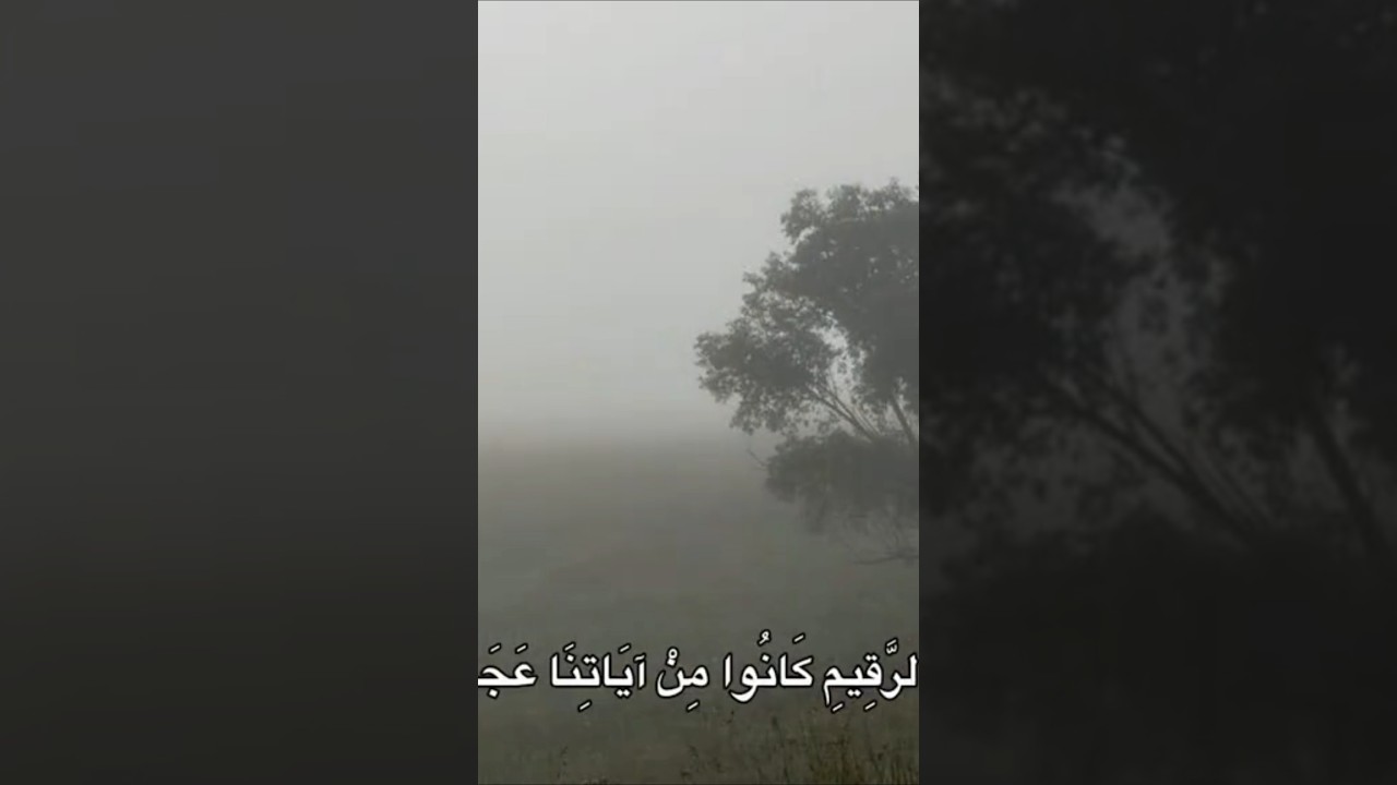 #tilawatquran