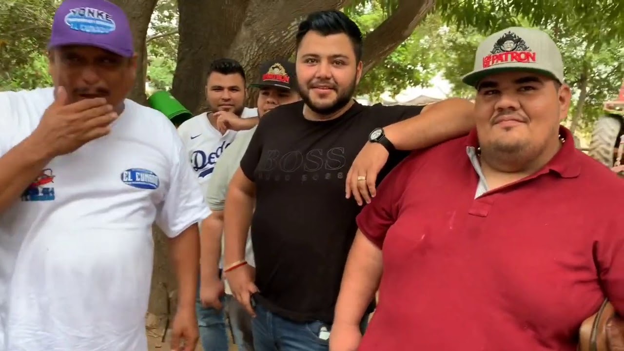 Como preparar Chilorio sinaloense para el equipo Patronneto