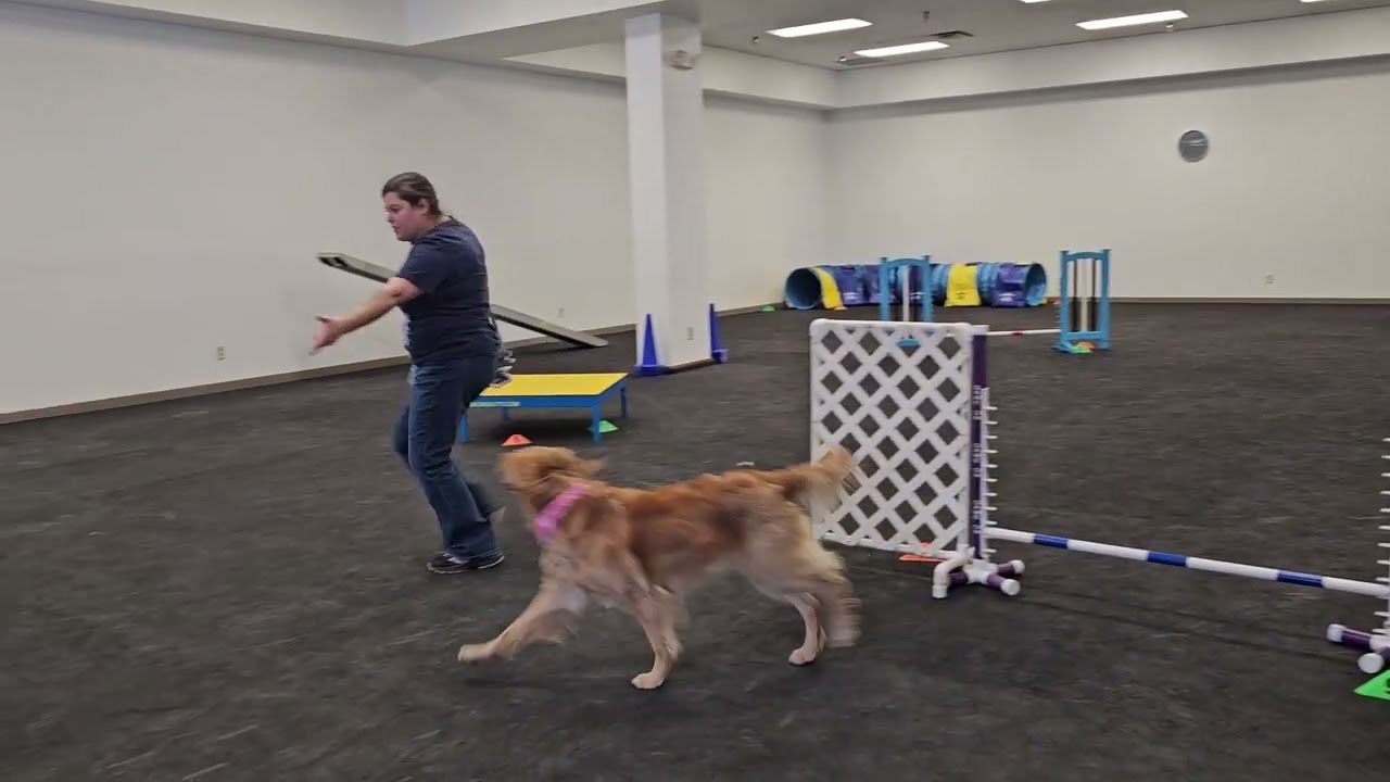 Agility practice 2/14/26