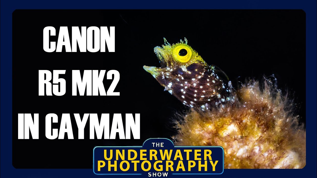 Field Review: Canon R5 Mk2 in Cayman