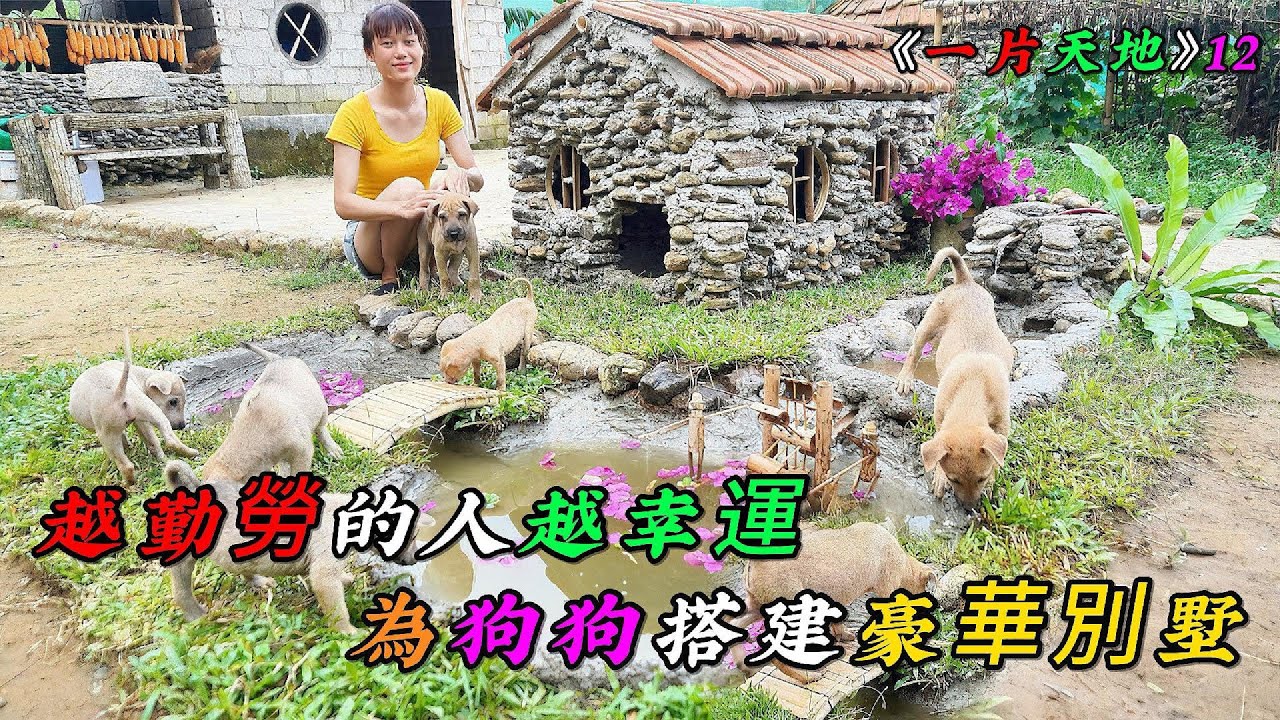 女人越勤勞越幸運，為狗狗搭建豪華別墅《一片天地》12