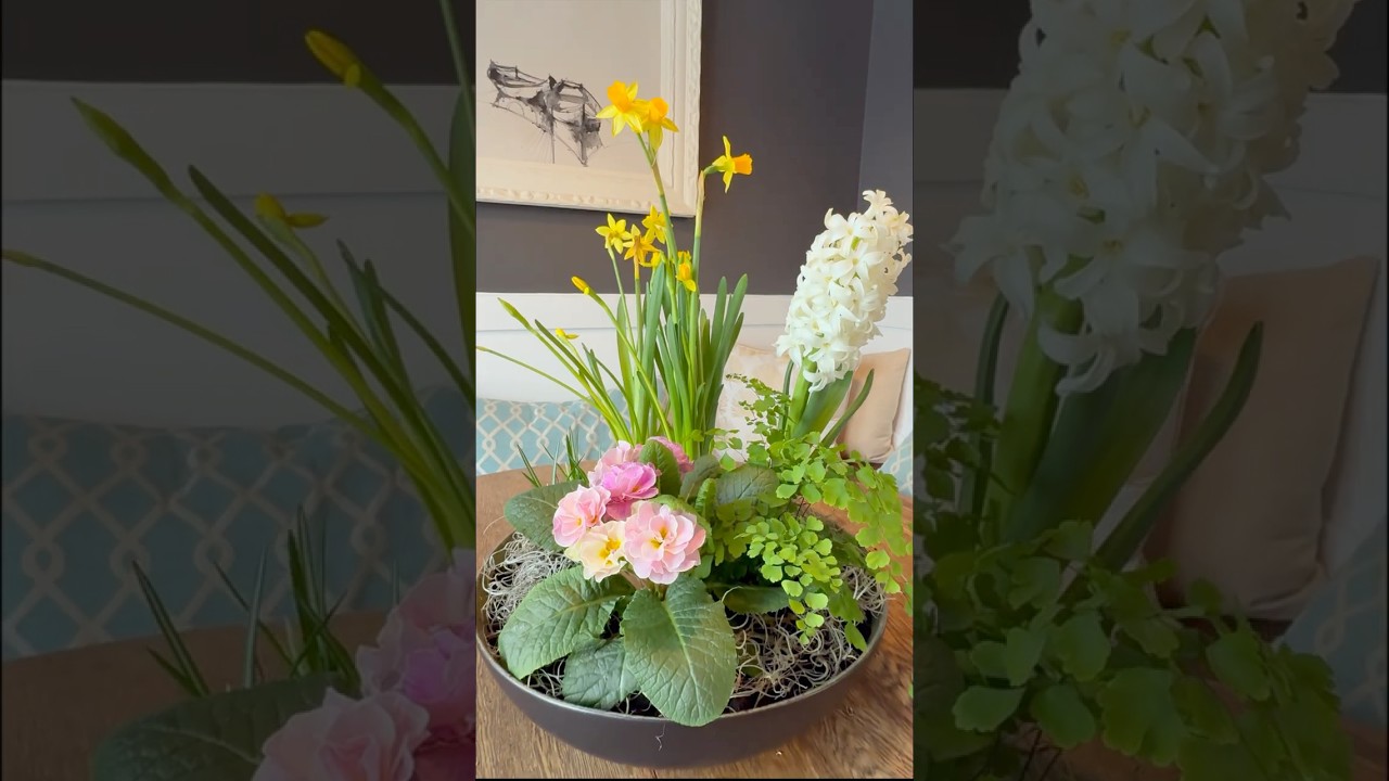 Easy Indoor Bulb Arrangement for Spring Vibes  #shorts #viralvideo #diy #flowers #inspiration #fyp