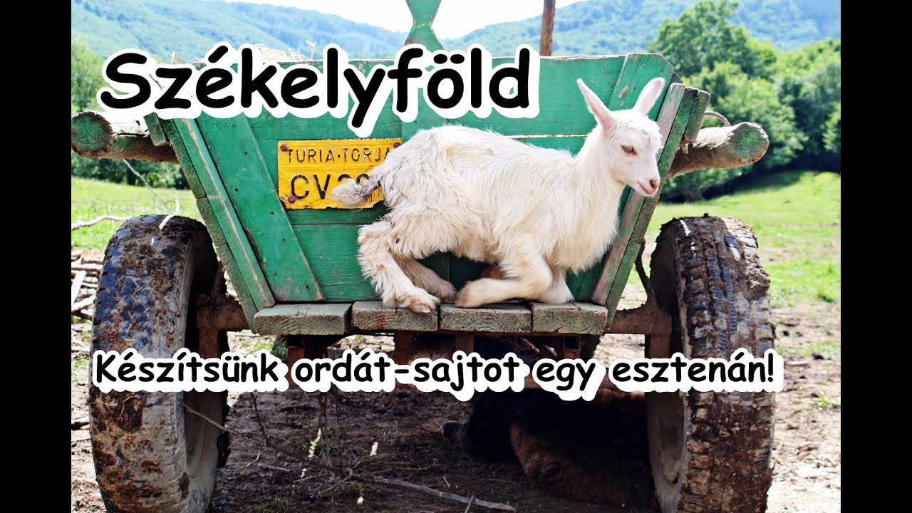A hegyi tany&aacute;kon, eszten&aacute;kon k&eacute;sz&iacute;tik az igazi 
