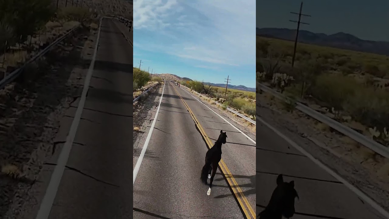 The Shootout Tucson AZ 29 March 2025