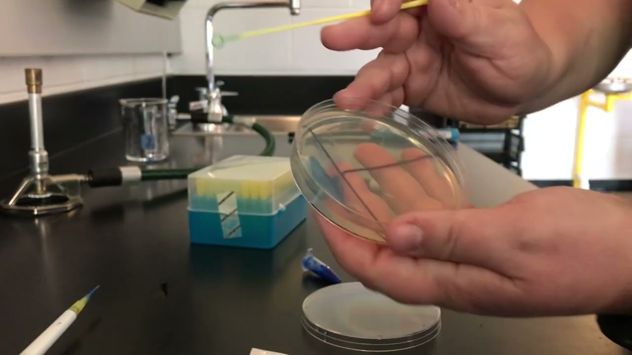 T streak Technique
