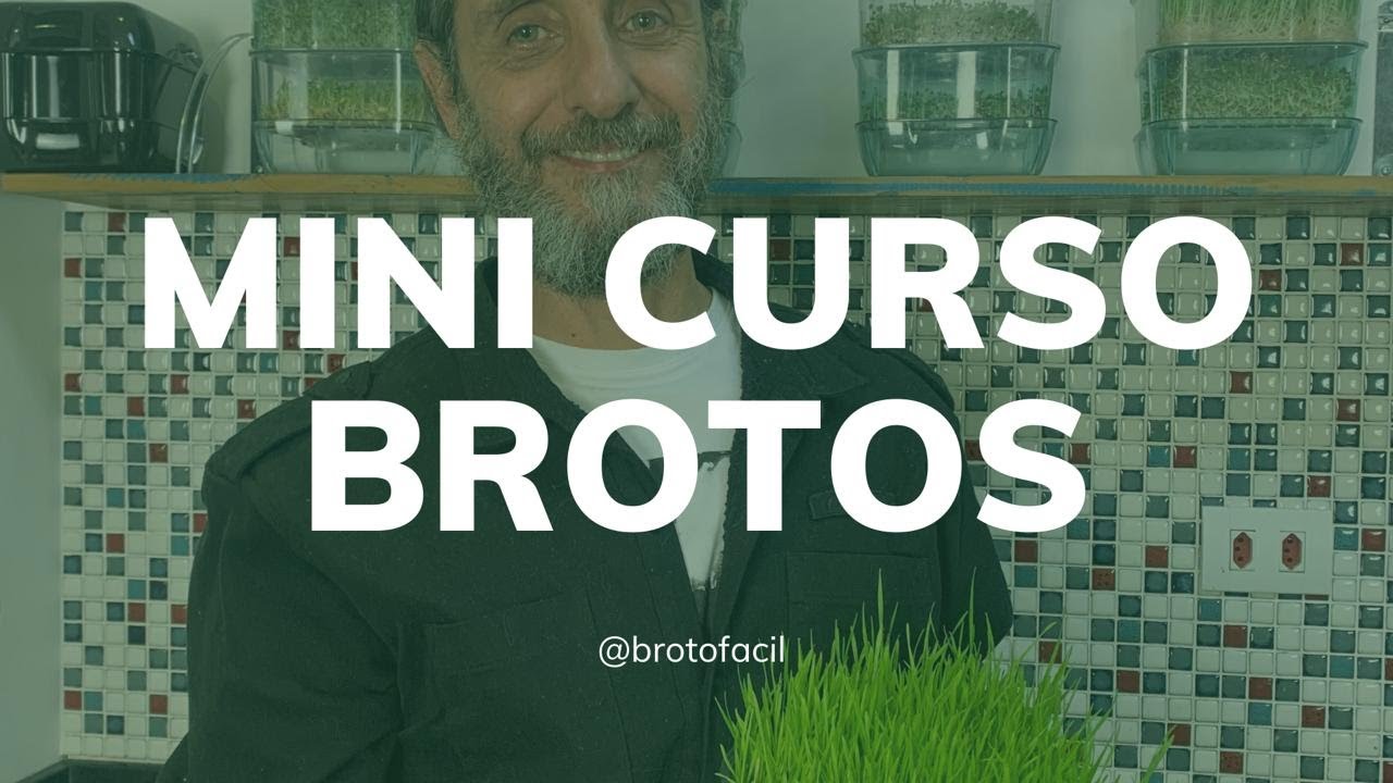 DIA 1- MINI CURSO BROTO FÁCIL