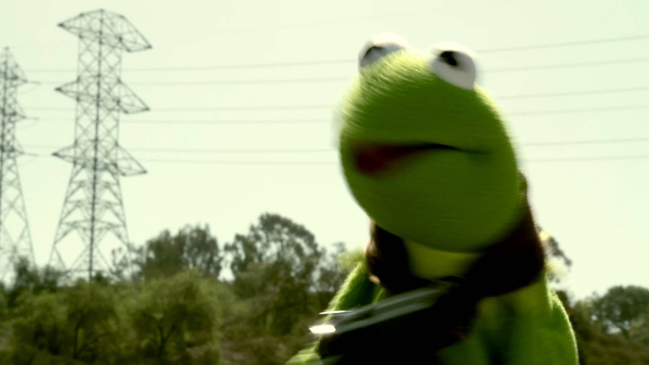 What's in the box......Muppets?