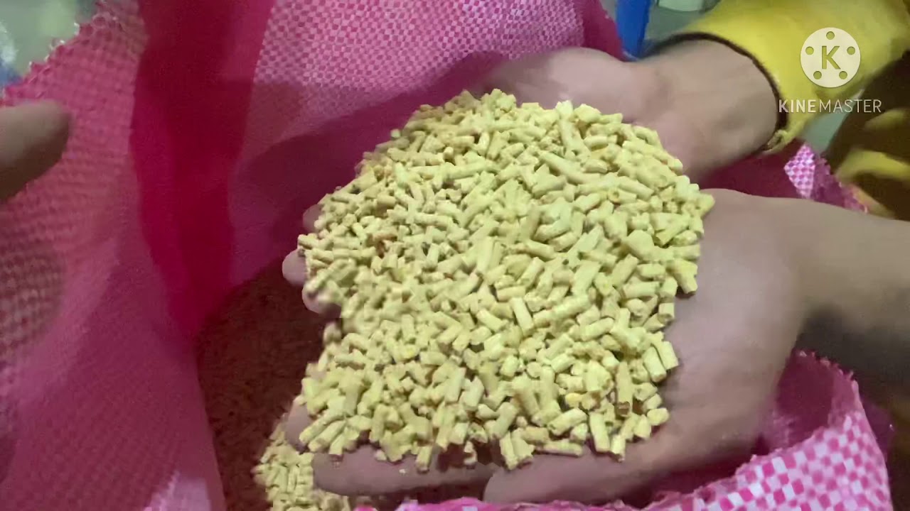 مراحل تصنيع علف الدواجن خطوة بخطوة  محمود ابوطالب