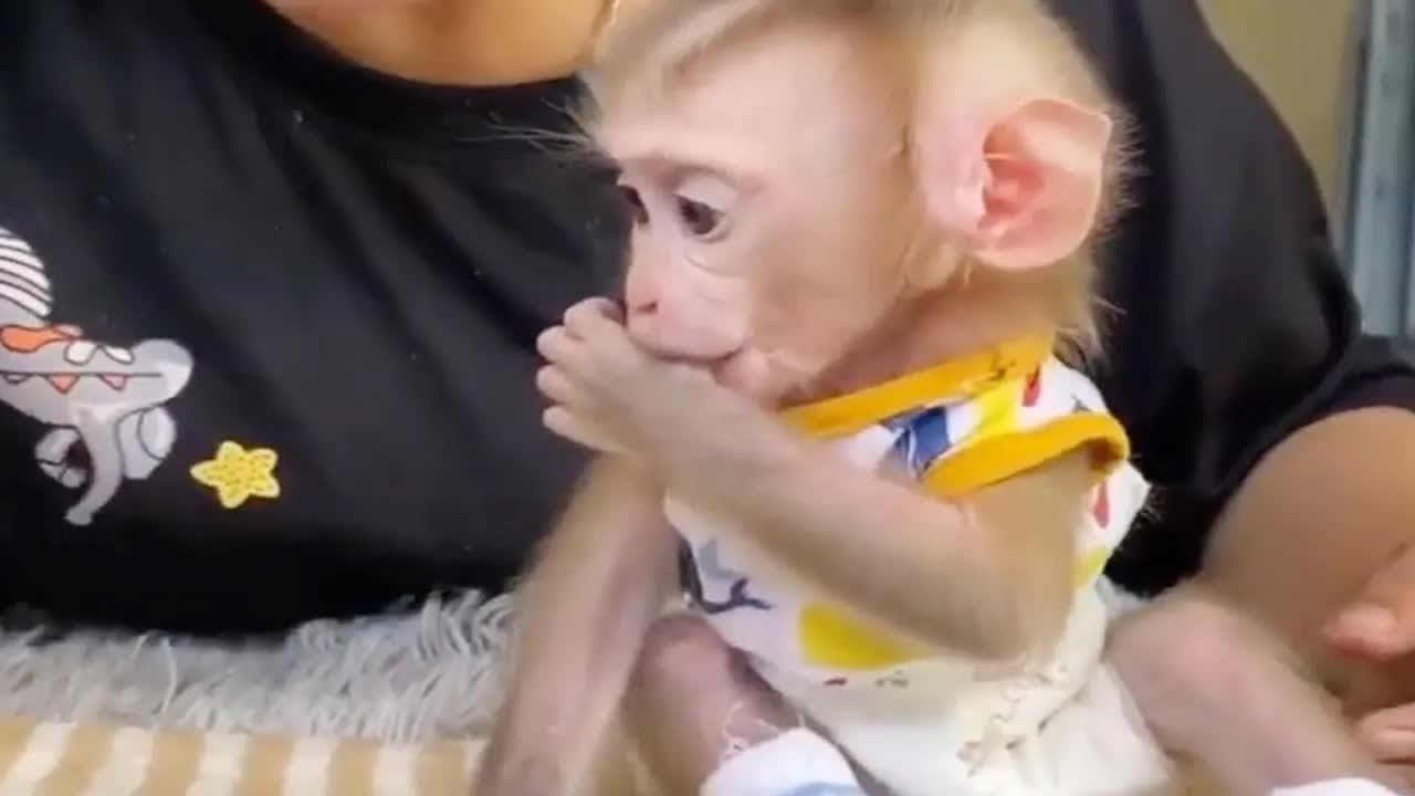 Baby Harry Stare Milk Bottle Very Eager Want To Drink