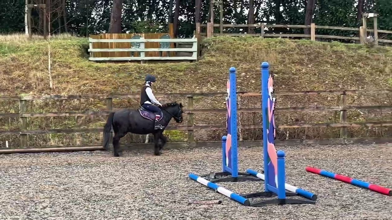 Learning to jump skinnies 😳 #connemara #pojies #ponyfun