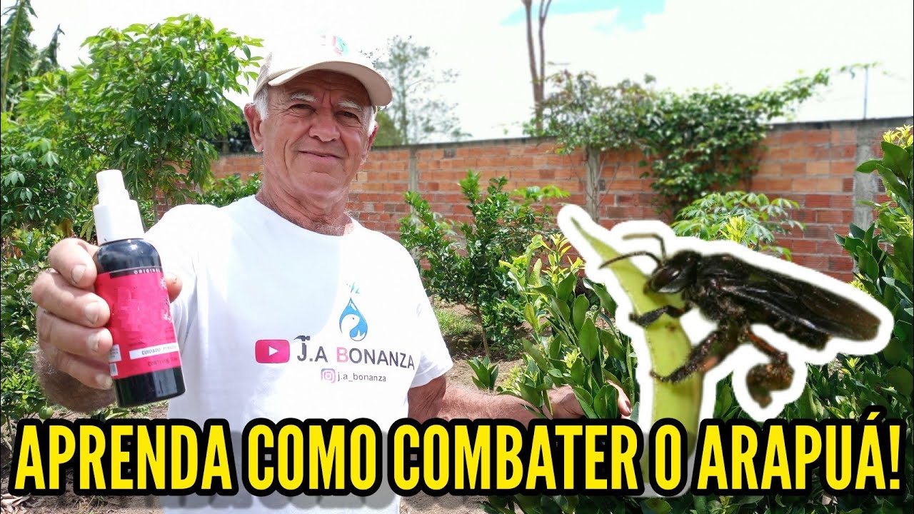 COMO COMBATER À ABELHA ARAPUÁ!