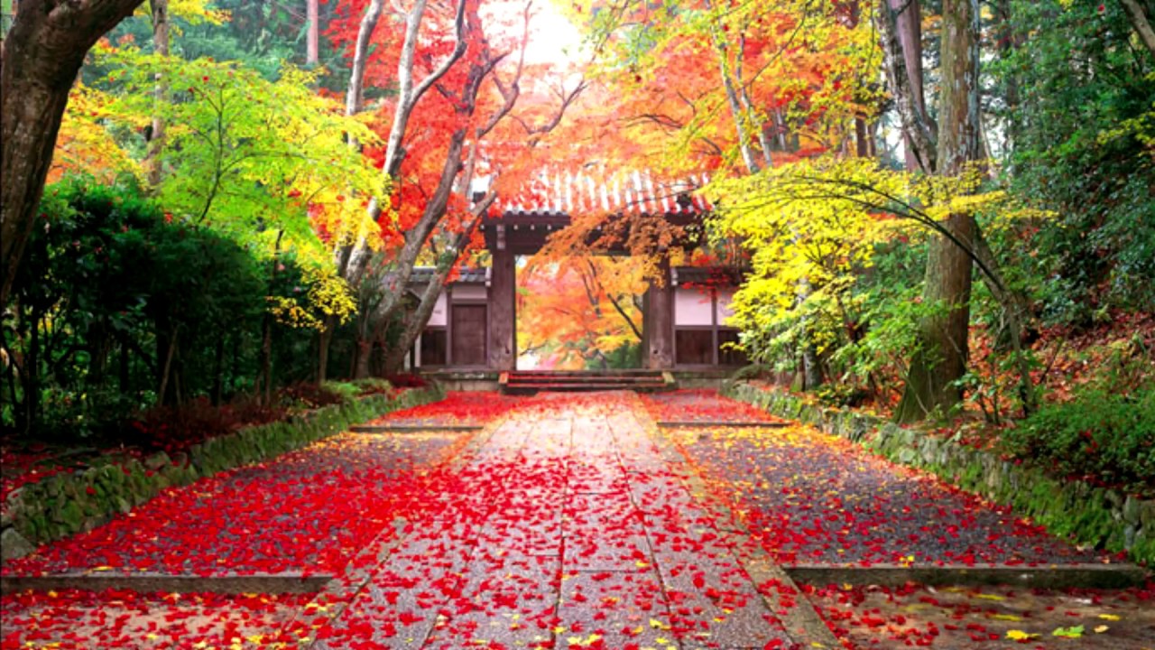 The most beautiful parks in the world