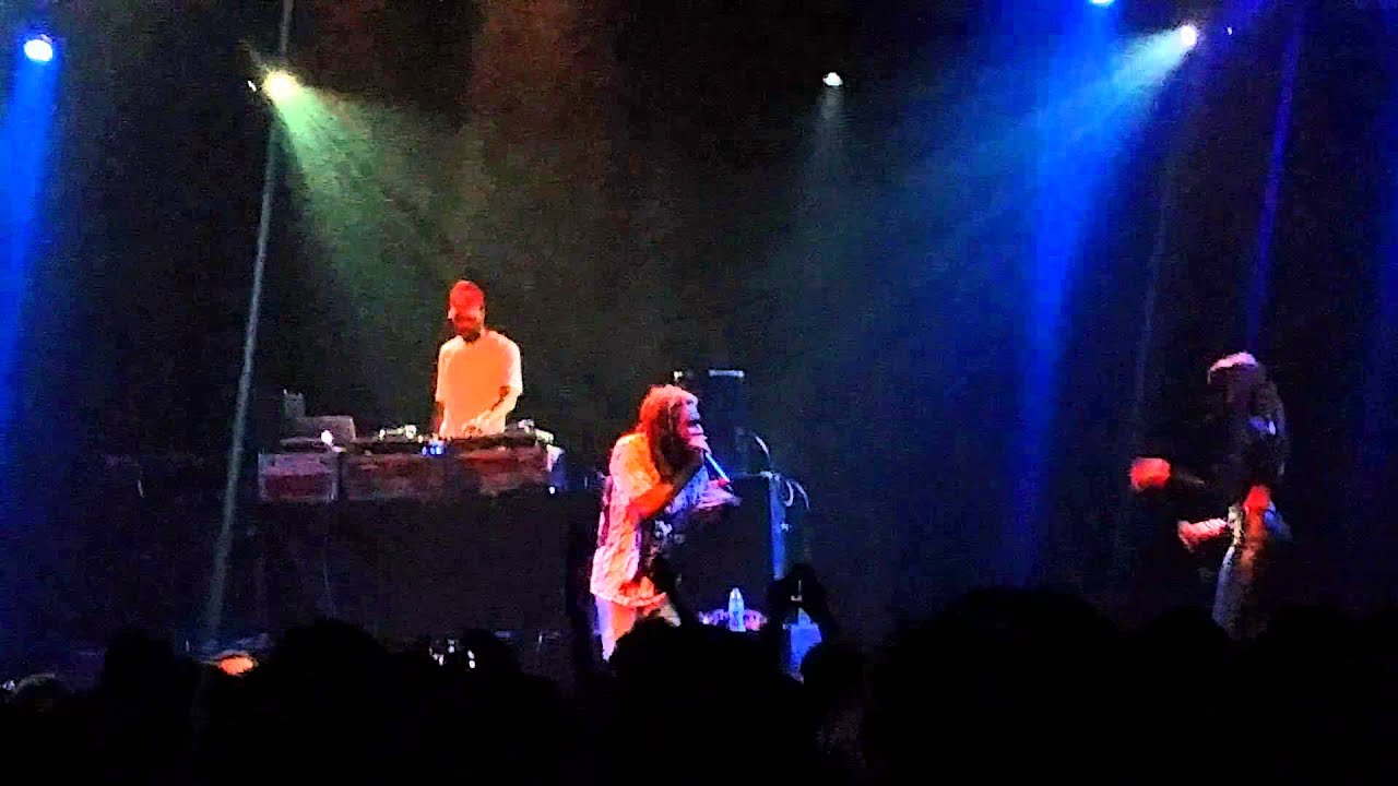 Flatbush Zombies 