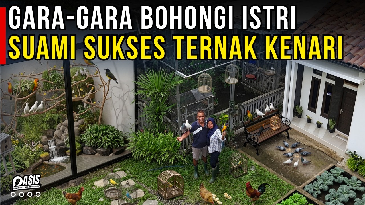 SUAMI ISTRI SUKSES TERNAK BURUNG KENARI DAN PUNYA MINI AVIARY DI HALAMAN RUMAH | CERITA USAHA