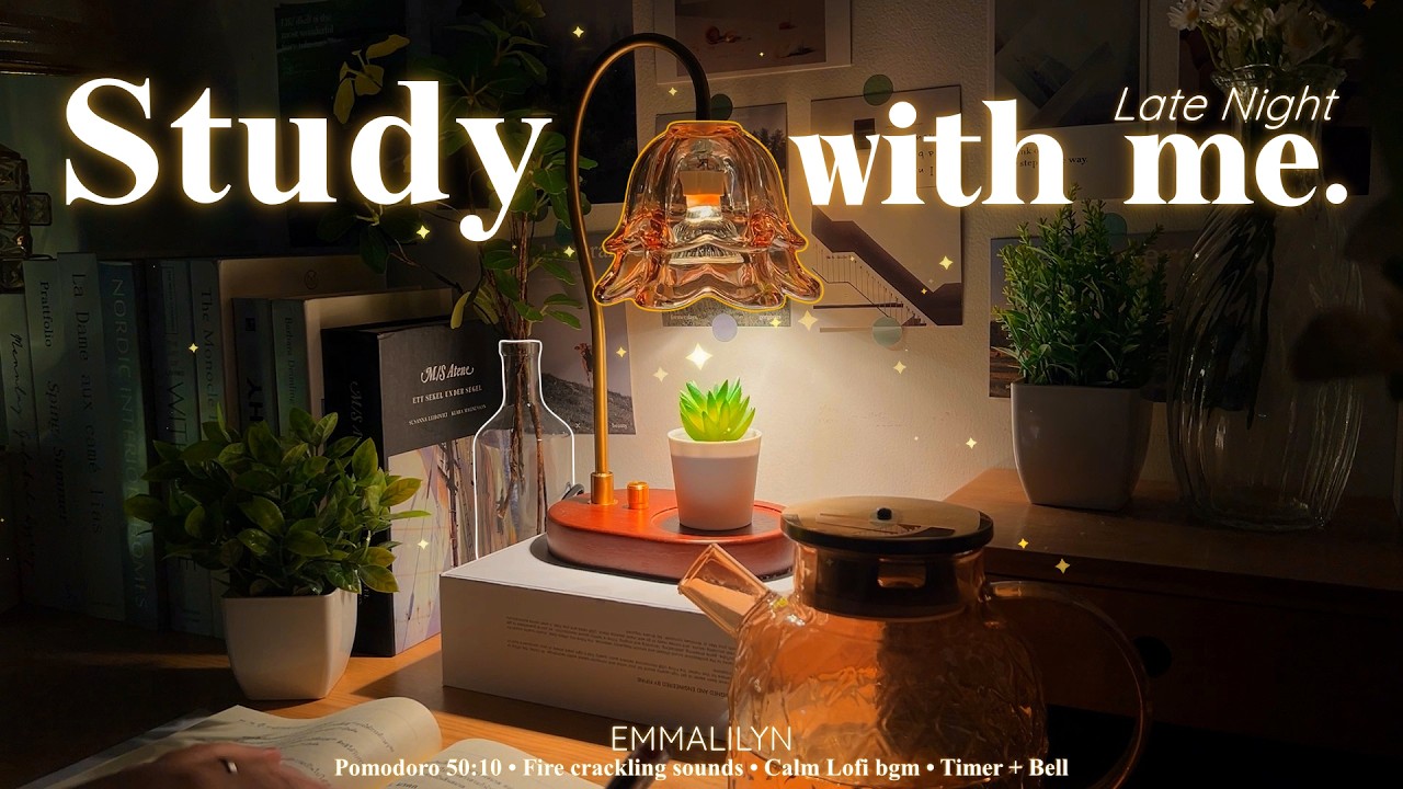 🌹4-HOUR Late Night Study With Me • Fire Crackling🕯️+ Lofi bgm • Pomodoro 50-10 • Day302🪴
