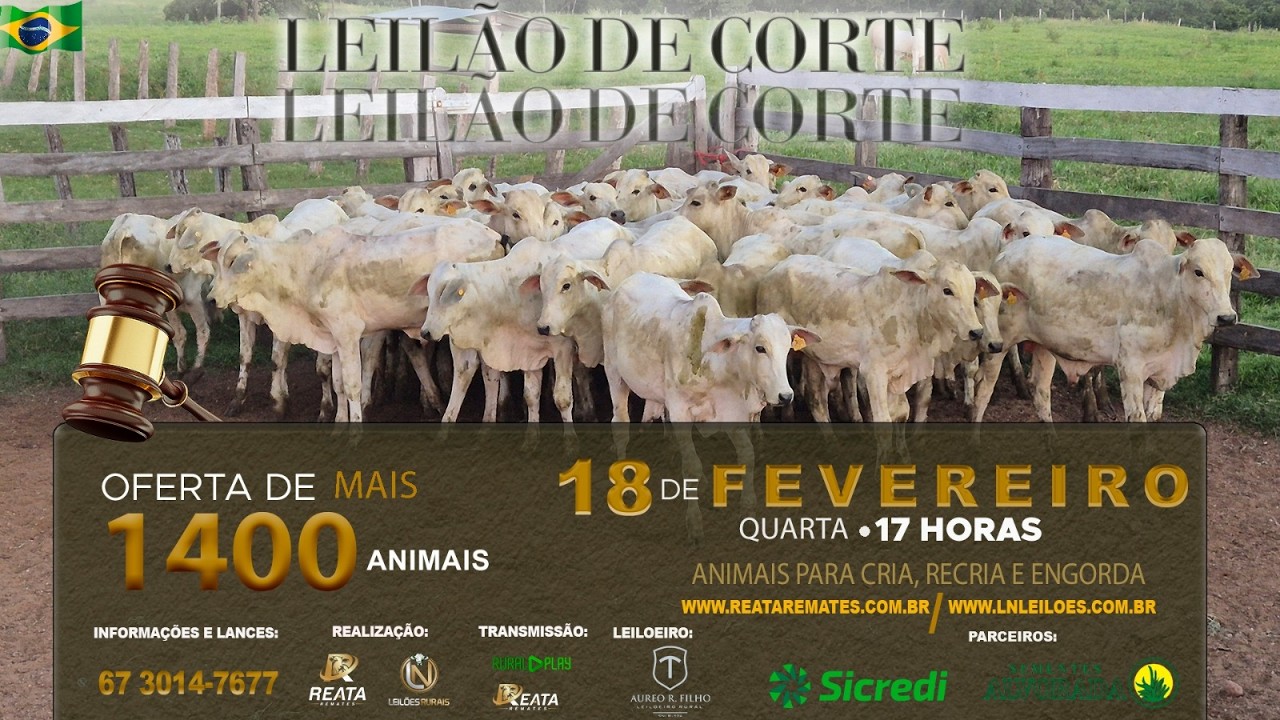 LEILÃO VIRTUAL REATA REMATES & LN LEILÕES - CAMPO GRANDE/MS - RURAL PLAY