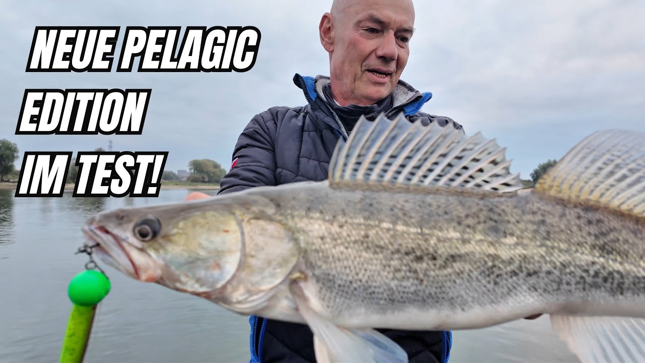 Neue Pelagic Edition im Test
