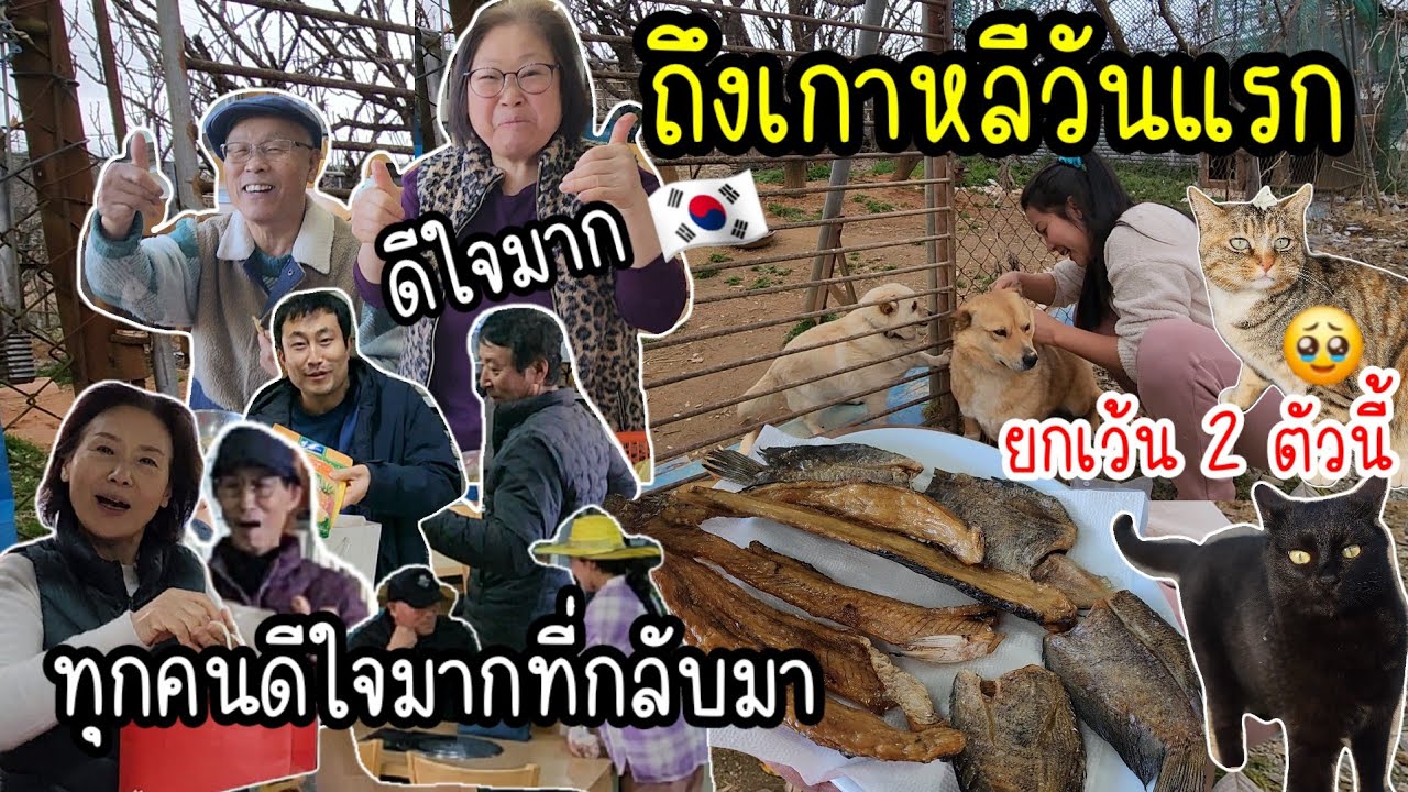 EP.850 แม่ย่าพ่อปู่ดีใจมากที่กลับมา แถมได้ของฝากที่ถูกใจอีกด้วย รวมถึงเพื่อน ๆ ของพ่อปู่แม่ย่าด้วย