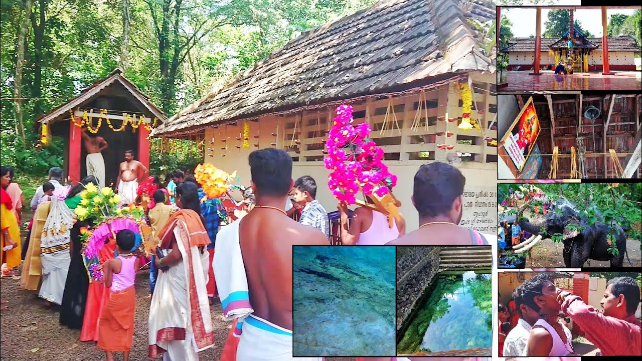 0350
ശ്രീ ധർമ്മശാസ്താ ക്ഷേത്രം
ഉത്സവം പെരുവന്താനം
കാവടി ഘോഷയാത്ര
ക്ഷേത്രക്കുളം 🙏🏼