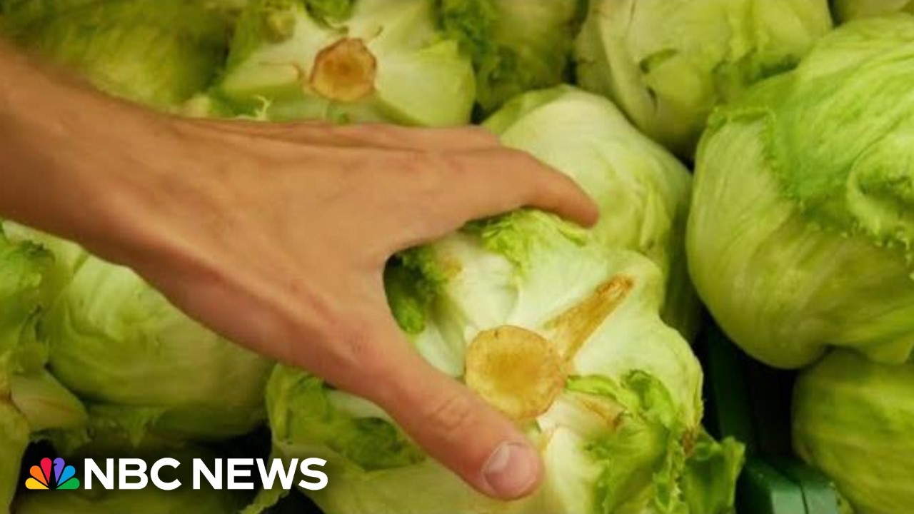 First deaths from lettuce-linked outbreak