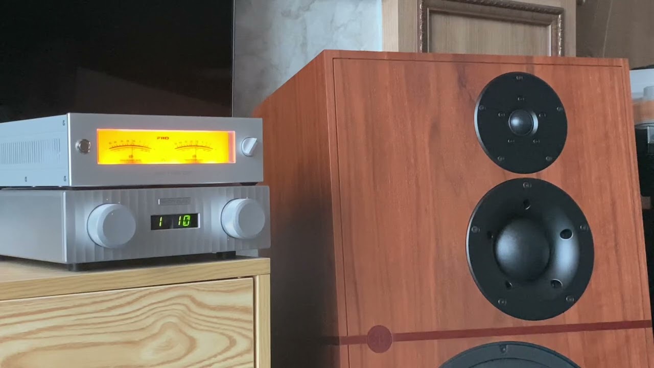 FIIO R2R TUBE DAC WARMER (female vocal)
