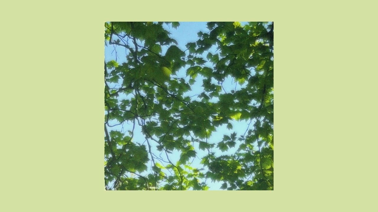 november (bossa type beat)