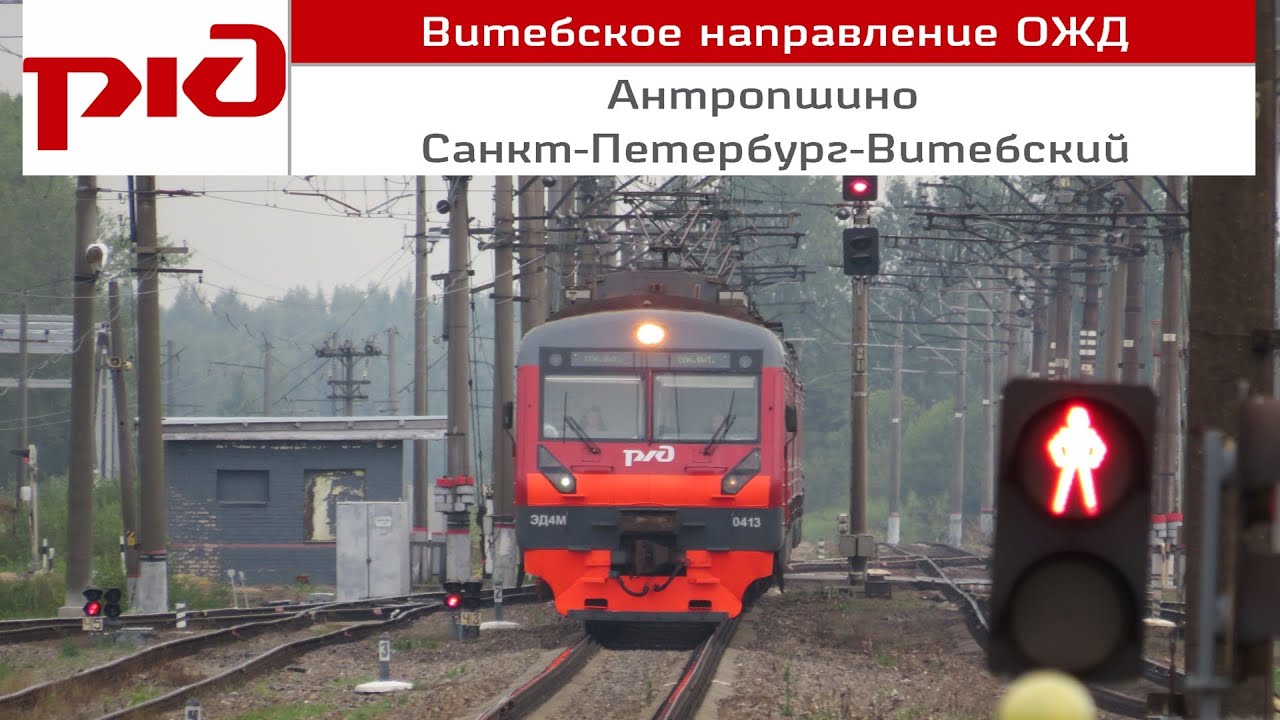 Пригородный поезд 