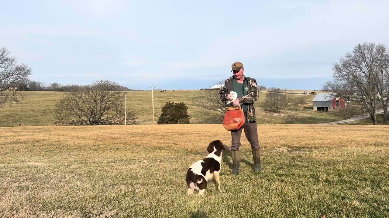 A training day with pup going from chasing to not chasing.   One doesn’t need to be “heavy handed”.