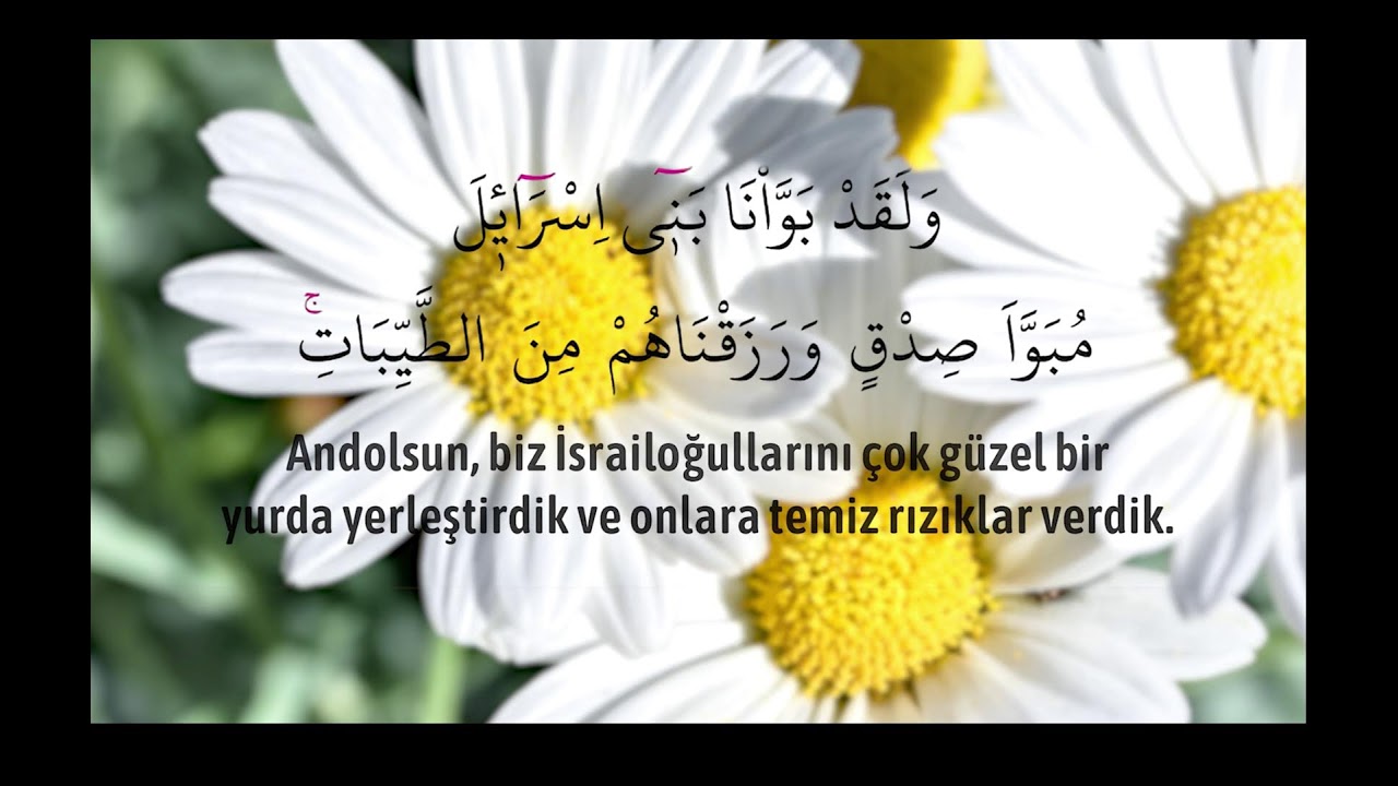 CANLI MUKABELE 11.CÜZ | Kur'an Nehri Canlı Yayını