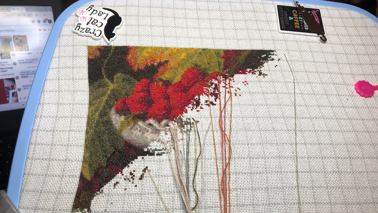 StitchyFifer is live