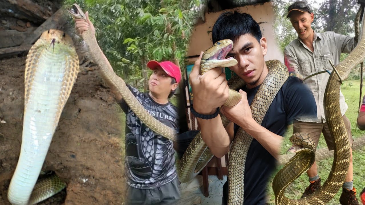 MGA DELIKADONG MISSION NI COBRA PRINCE