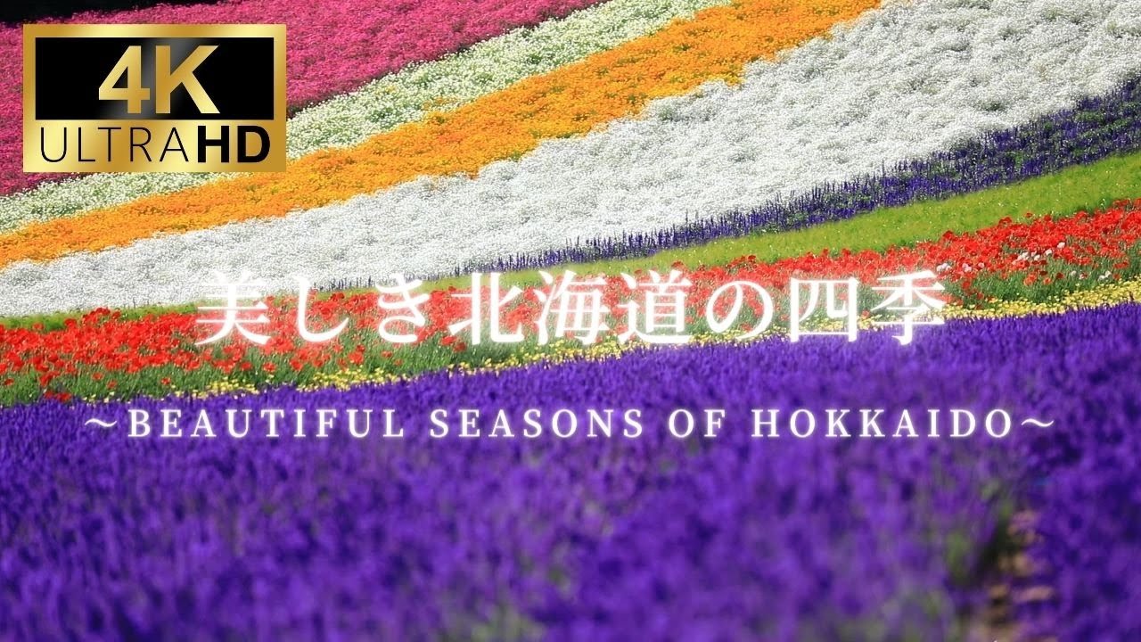 【4K】【絶景】美しき北海道の四季 Bautiful Seasons of Hokkaido