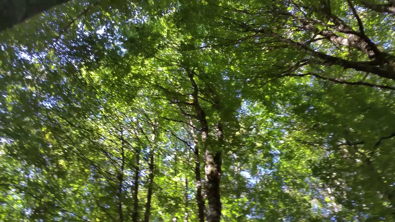 20160928 123951