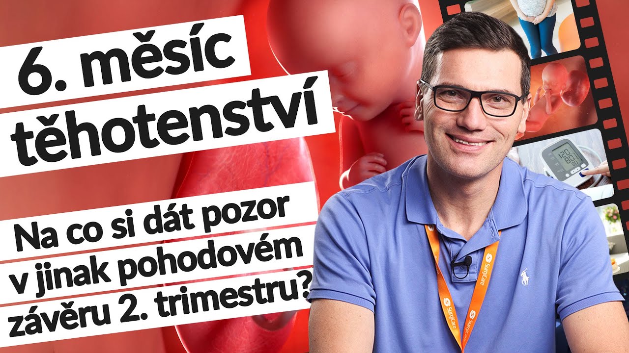 6. měsíc těhotenství (23.–⁠26. tt) | Těhotenství týden po týdnu| #tehotenstvi