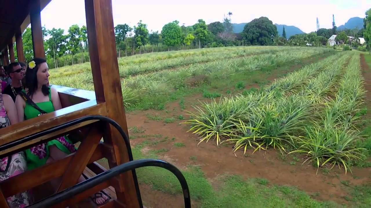 Kauai-Luau Kalamaku & Plantation Train