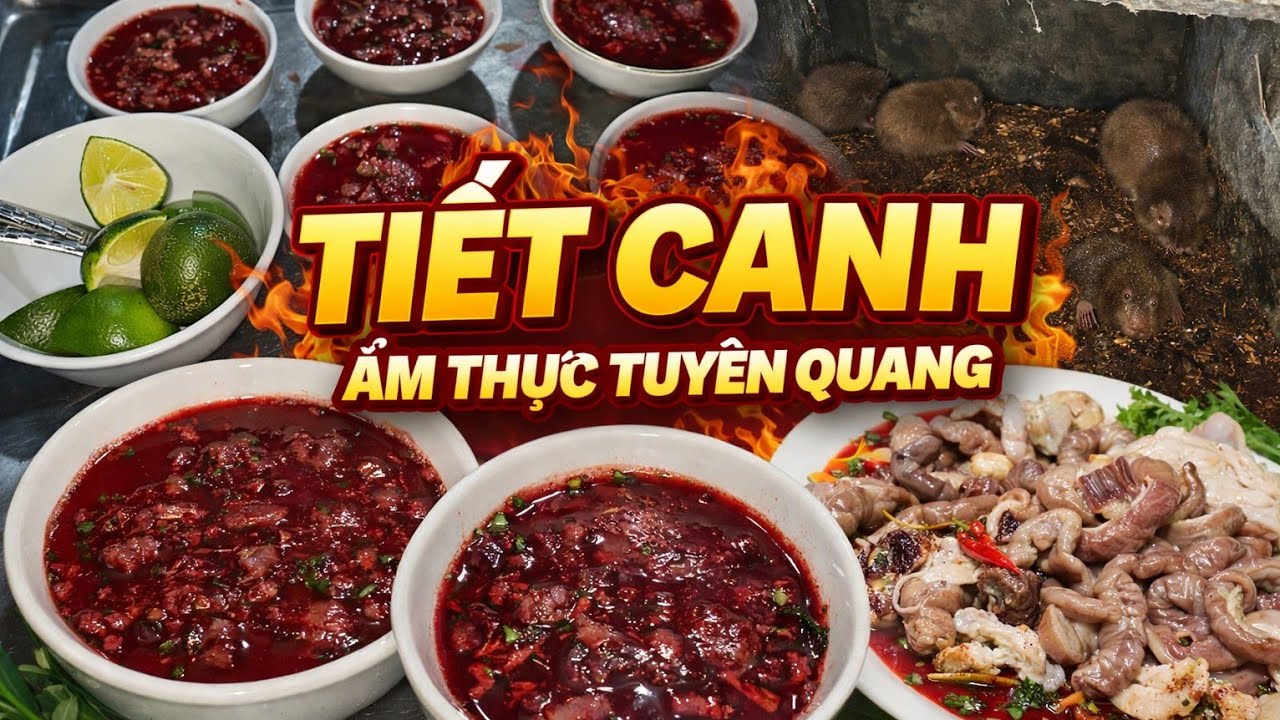 Đặc Sản Dúi Rừng Nấu Lẩu Và Tiết Canh Ngon Khó Quên | Ẩm Thực Tuyên Quang.