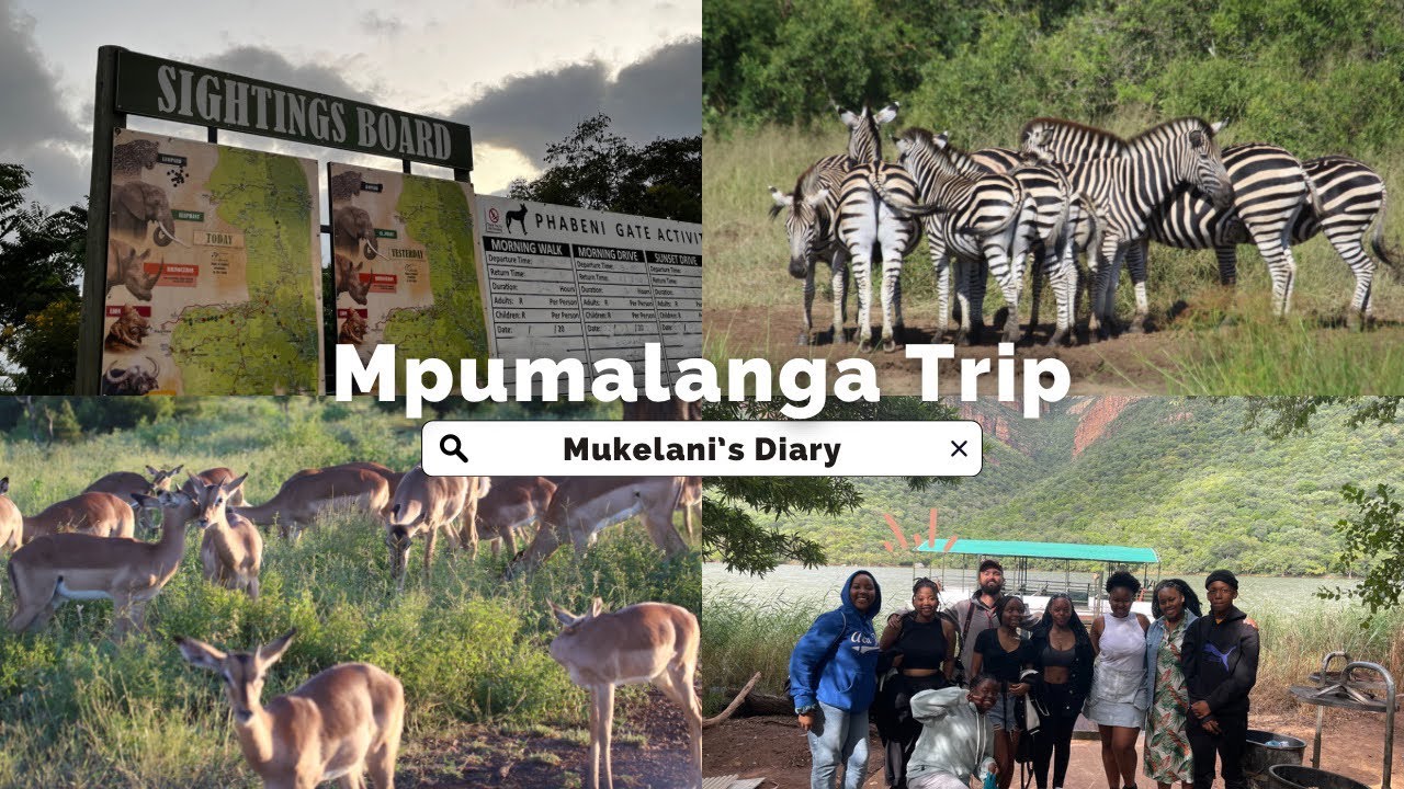 POV:You’re in your love nature era [Kruger Park, God’s Window & More]