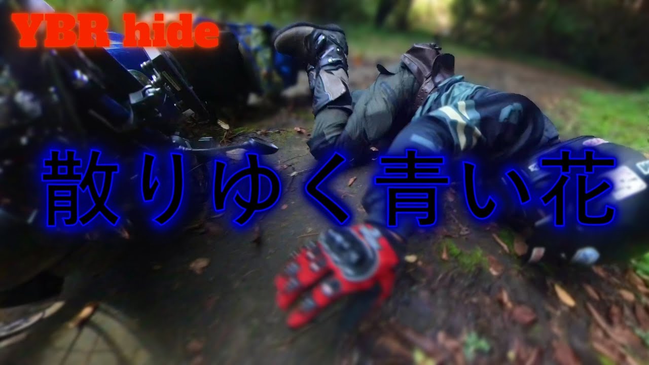 散りゆく青い花　スリップ転倒事故