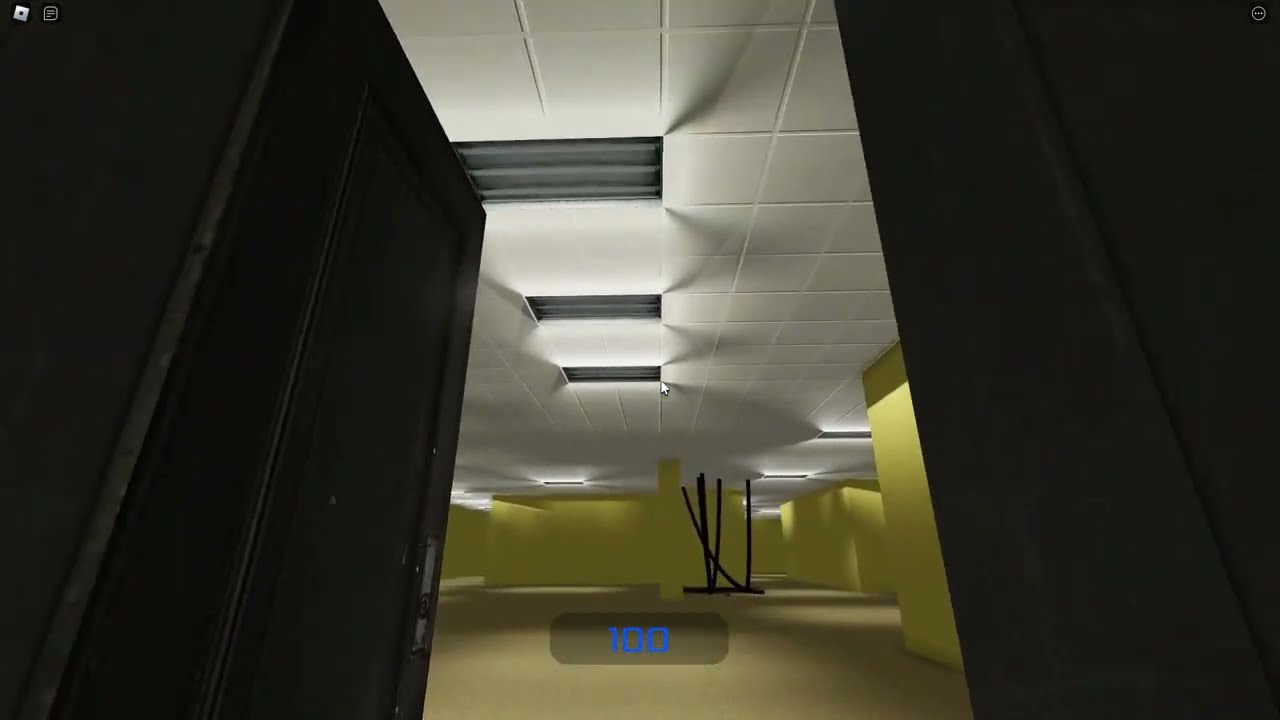 The Backrooms (Found Footage)