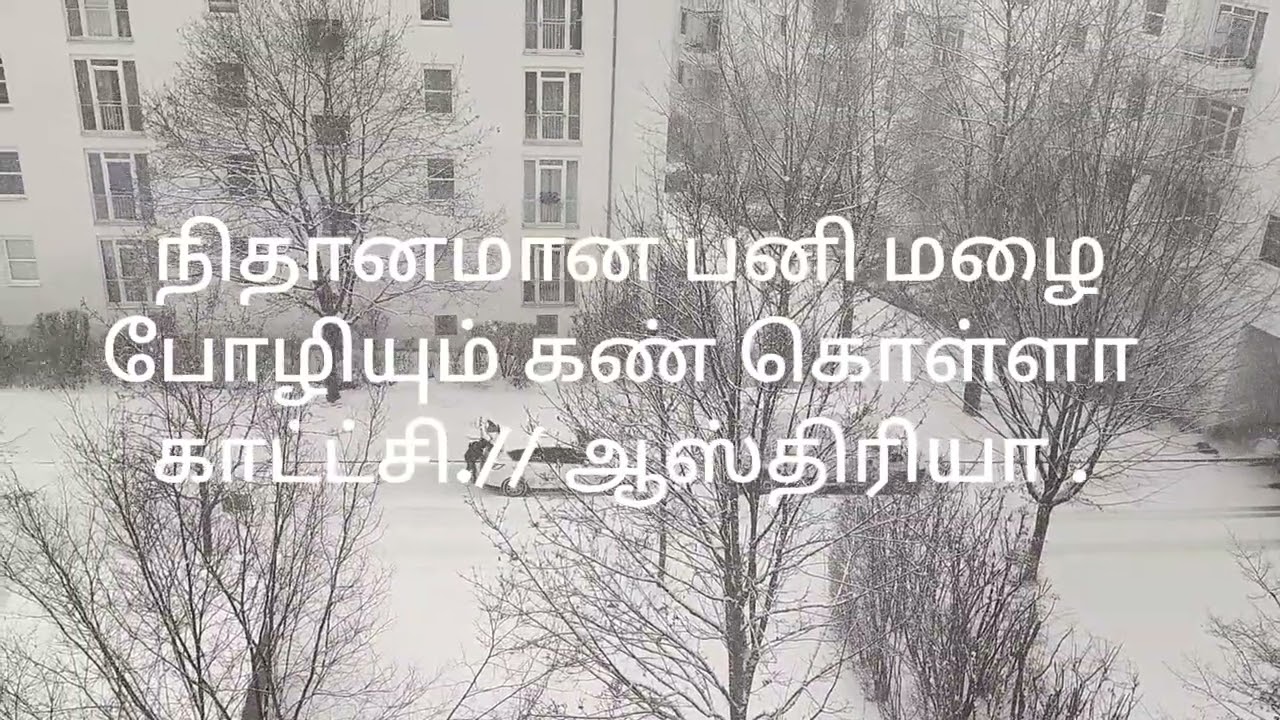 கண்டு களிக்க கண் கொள்ளா இதமான காட்ச்சி// ஆஸ்த்திரியா@லின்ஸ்